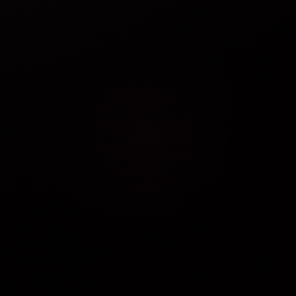 Meet your Posher, Scarlett - Picture 1 of 1